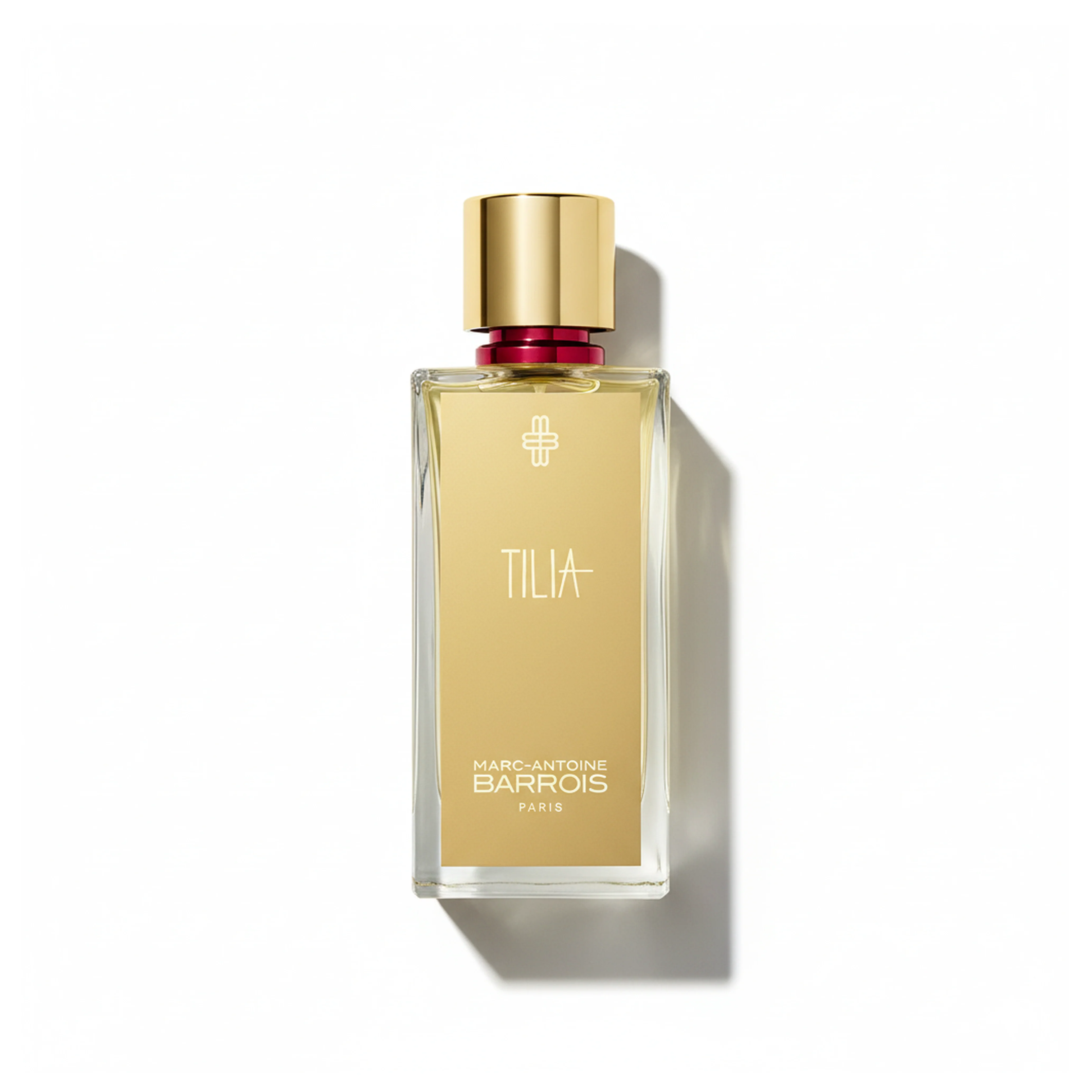 Tilia